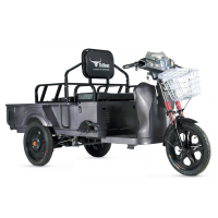 Грузовой электротрицикл Rutrike D1 ГП 1200 60V900W