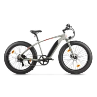 Электровелосипед Eltreco Gelbert Sporto Newt Бежевый